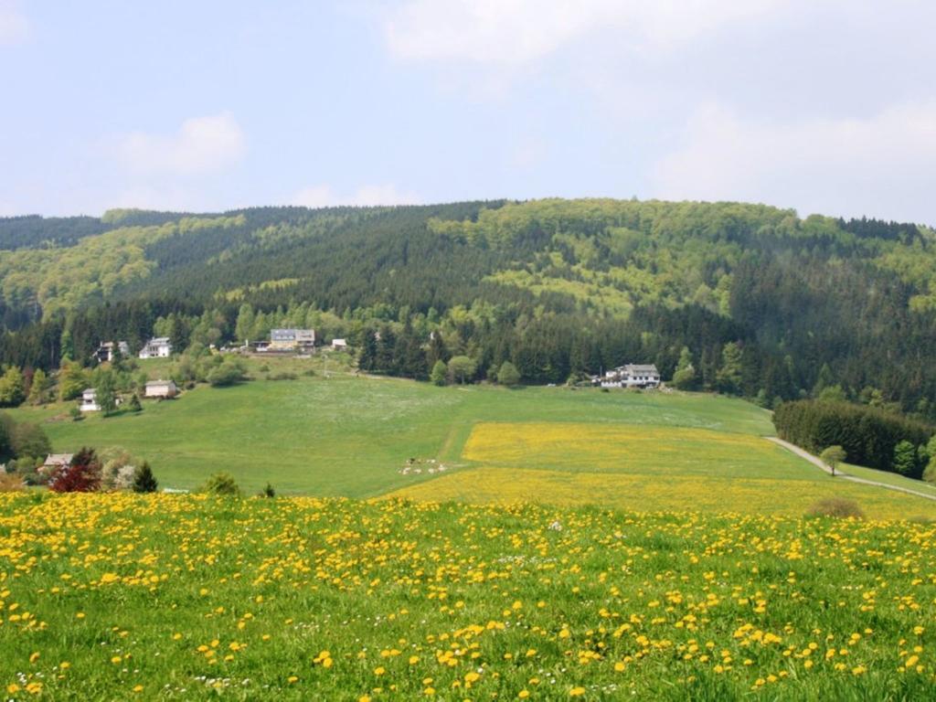 Cosy Apartment In Schwalefeld Near Willingen With Private Terrace Luaran gambar